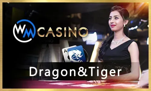 Immersive Live Casino